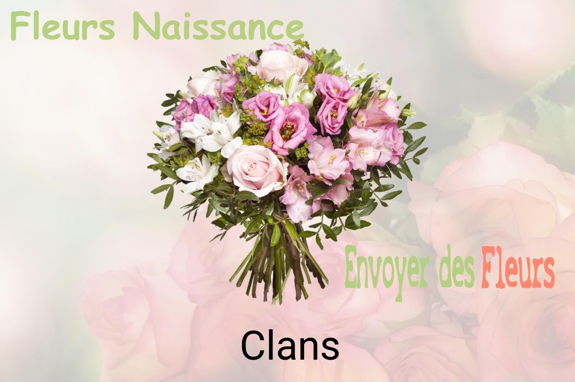 Bouquet de fleurs de naissance livré à Clans